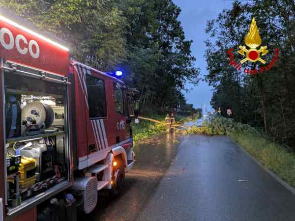 CRONACA - Edolo: intervento dei vigili del fuoco sulla strada per Santicolo