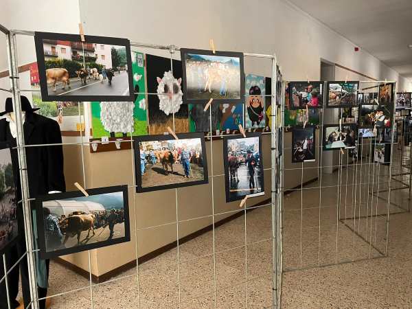 VALLE CAMONICA - Borno: inaugurata la mostra "Orme di Transumanza" 