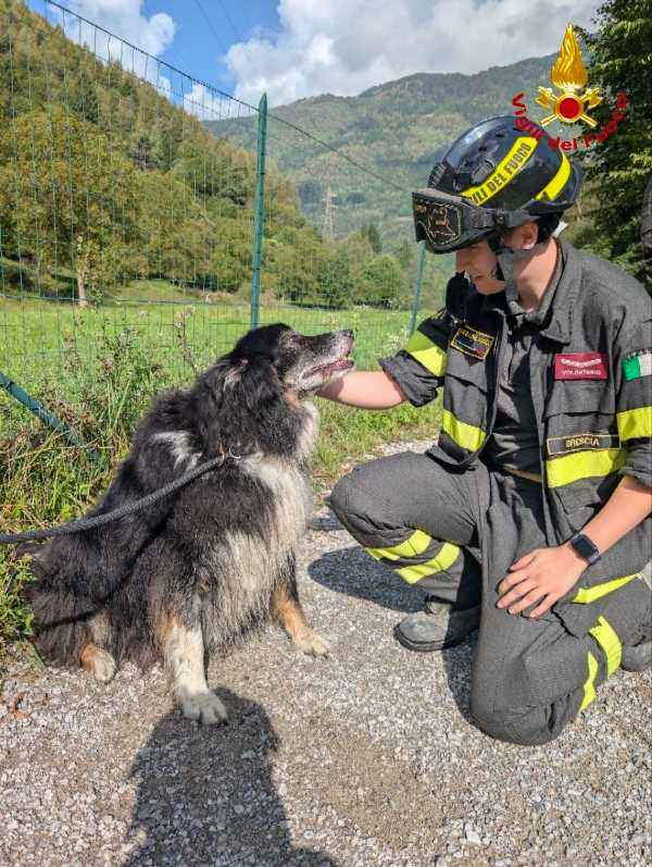 VALLE CAMONICA - Edolo: Recuperato un cane caduto nel torrente Ogliolo