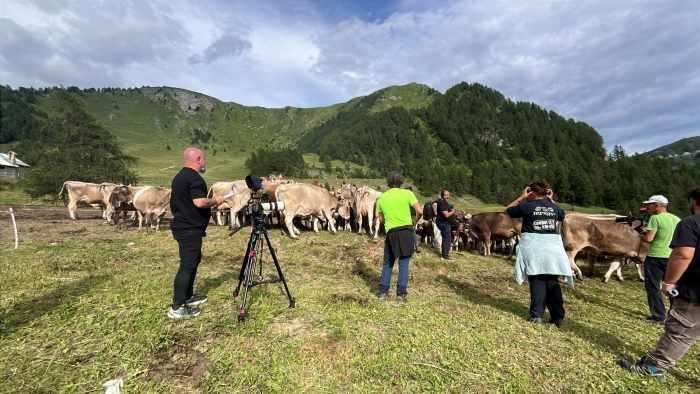 VALLE CAMONICA - Melaverde racconta il Parco dell'Adamello