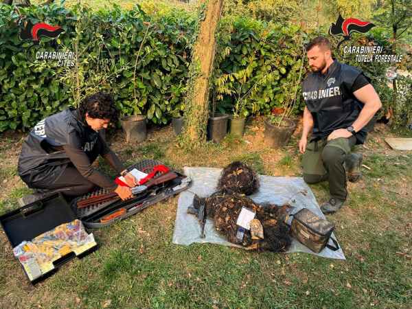 CRONACA - Operazione "Pettirosso 2026", arrestato 56enne bresciano