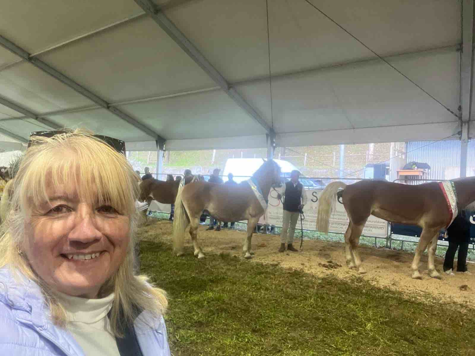 VALCHIAVENNA - A Samolaco la nuova associazione "Haflinger - Cuore delle Alpi"