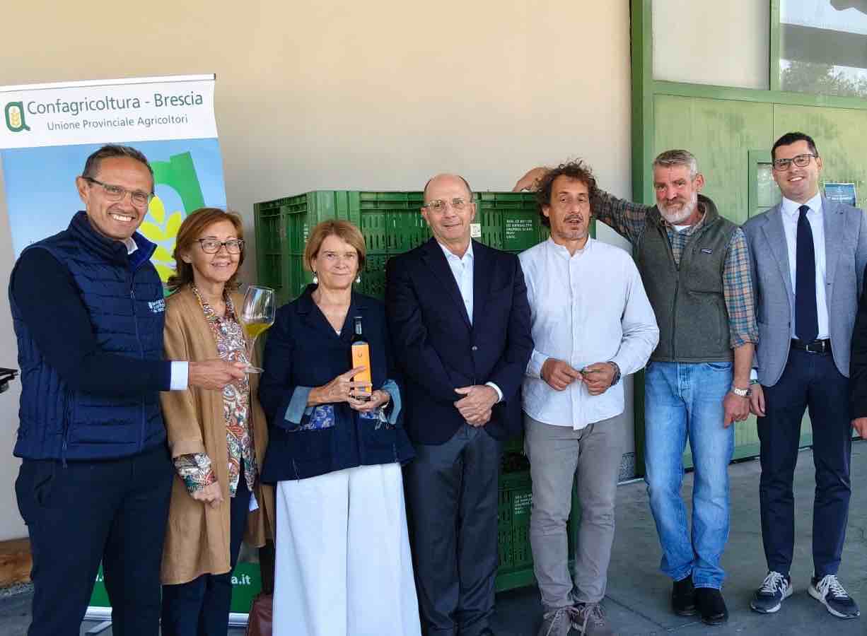 GARDA - Avvio raccolta olive sul Garda: i dati e le previsioni