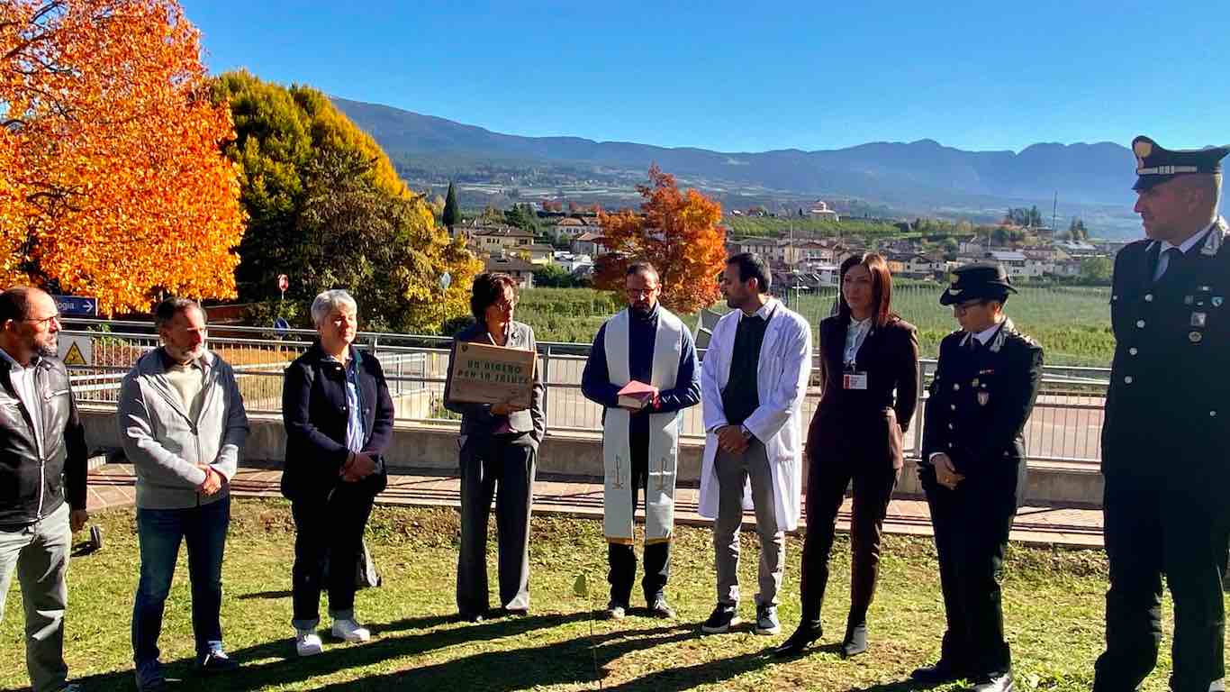 ATTUALITÀ - L'ospedale di Cles pianta un tiglio